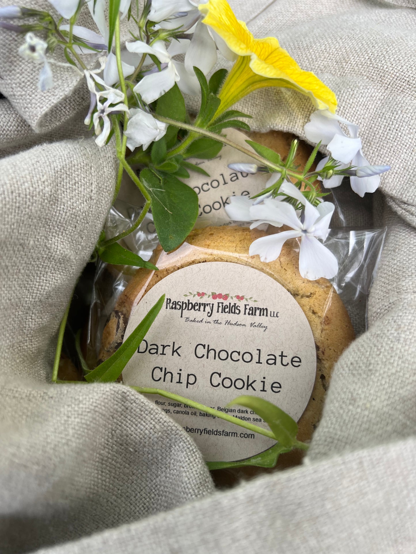 Dark Chocolate Chip Cookie- Single